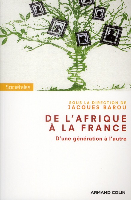 De l'Afrique à la France. D?une génération à l?autre