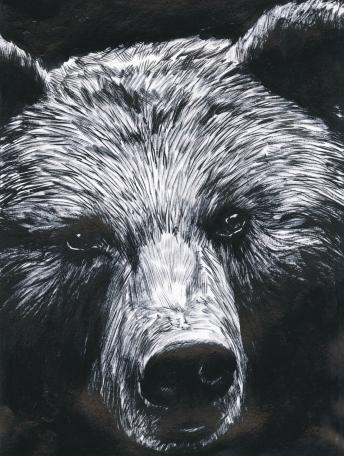 La Dernière Reine - Edition de luxe