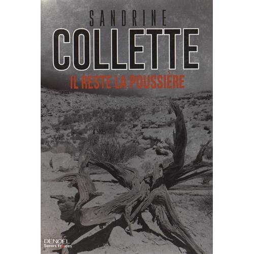 Il reste la poussière