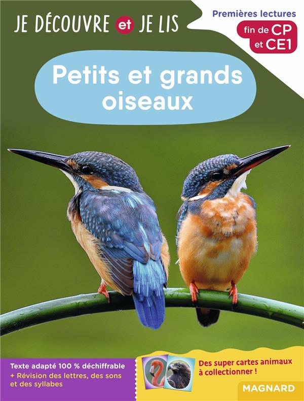 Petits et grands oiseaux. Premières lectures, fin de CP et CE1