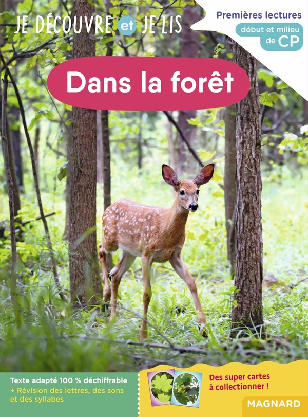 Dans la forêt. Début et milieu de CP