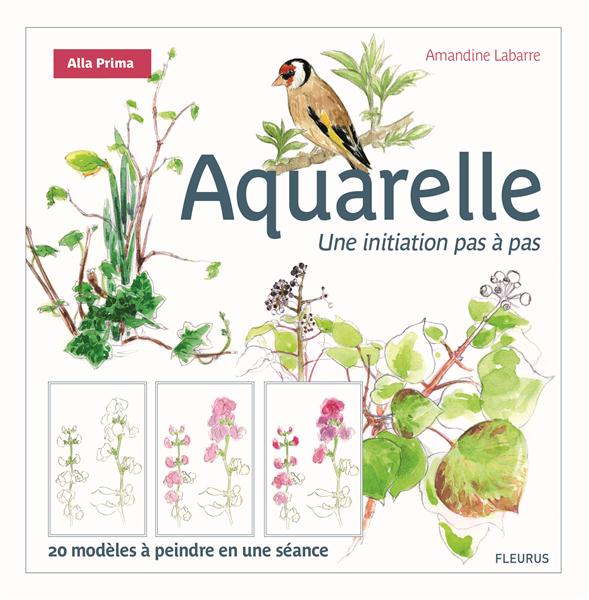 Aquarelle. Une initiation pas à pas