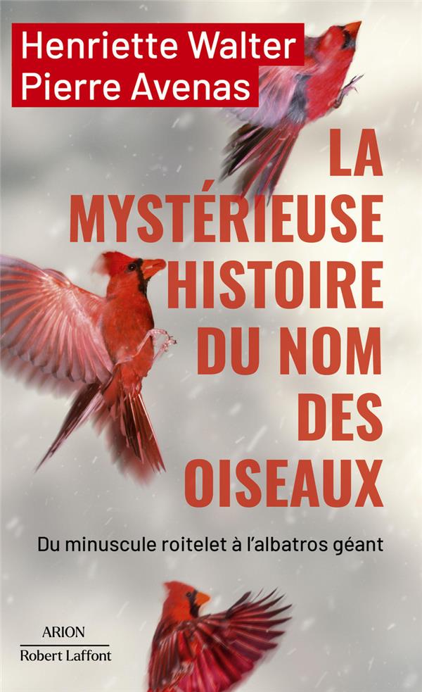 La mystérieuse histoire du nom des oiseaux. Du minuscule roitelet à l'albatros géant