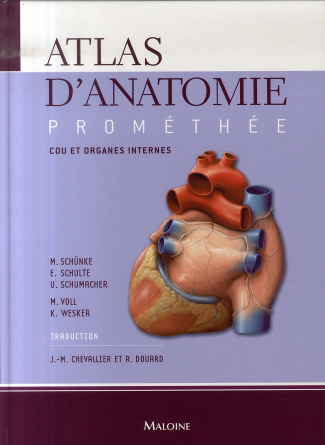 Atlas d'anatomie Prométhée. Tome 2, Cou et organes internes