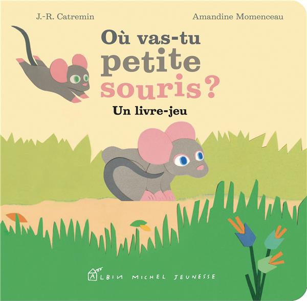 Ou vas-tu petite souris ? Un livre-jeu