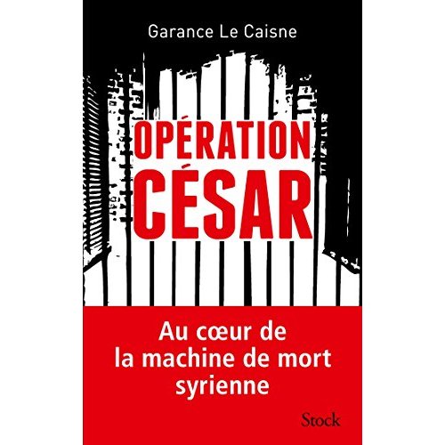 Opération César. Au coeur de la machine de mort syrienne