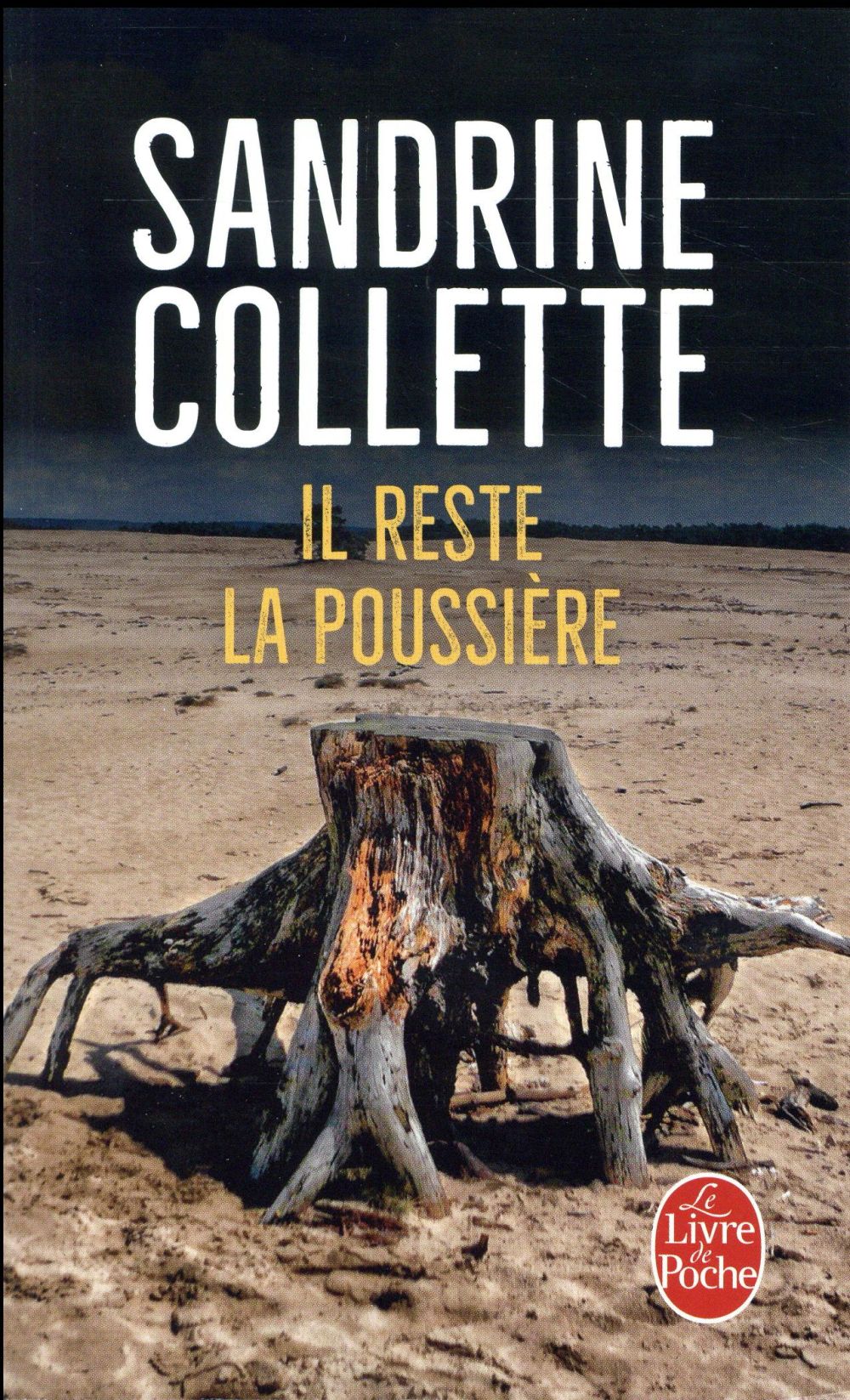 Il reste la poussière
