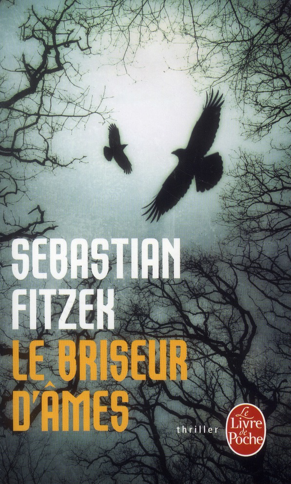 Le briseur d'âmes