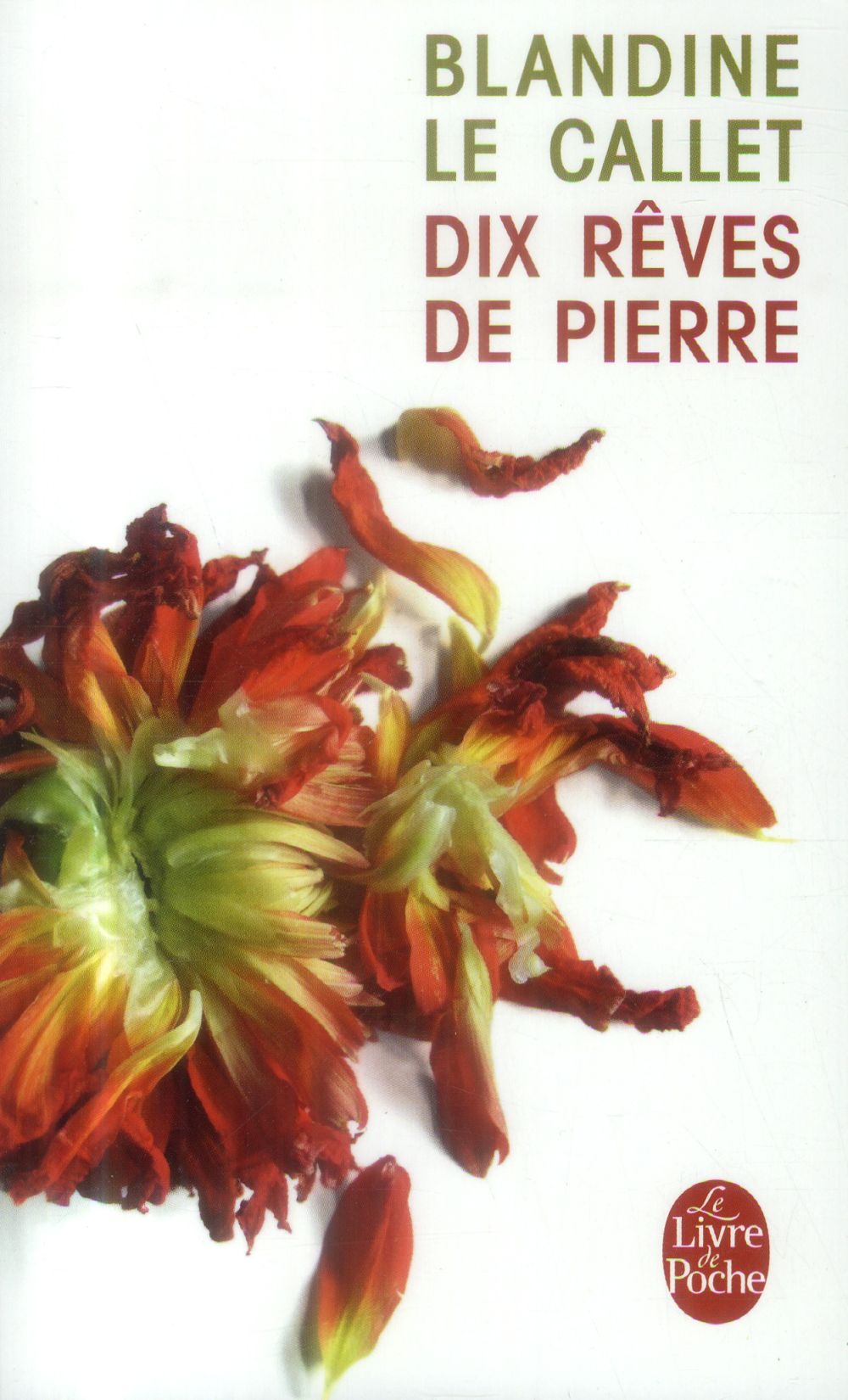 Dix rêves de pierre