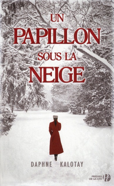 Un papillon sous la neige