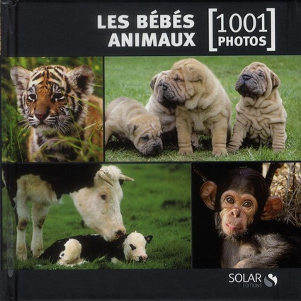 Les bébés animaux