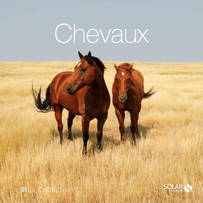 Chevaux