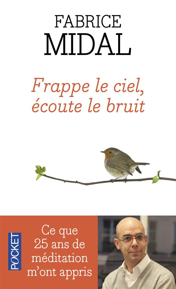 Frappe le ciel, écoute le bruit. Ce que vingt-cinq ans de méditation m'ont appris