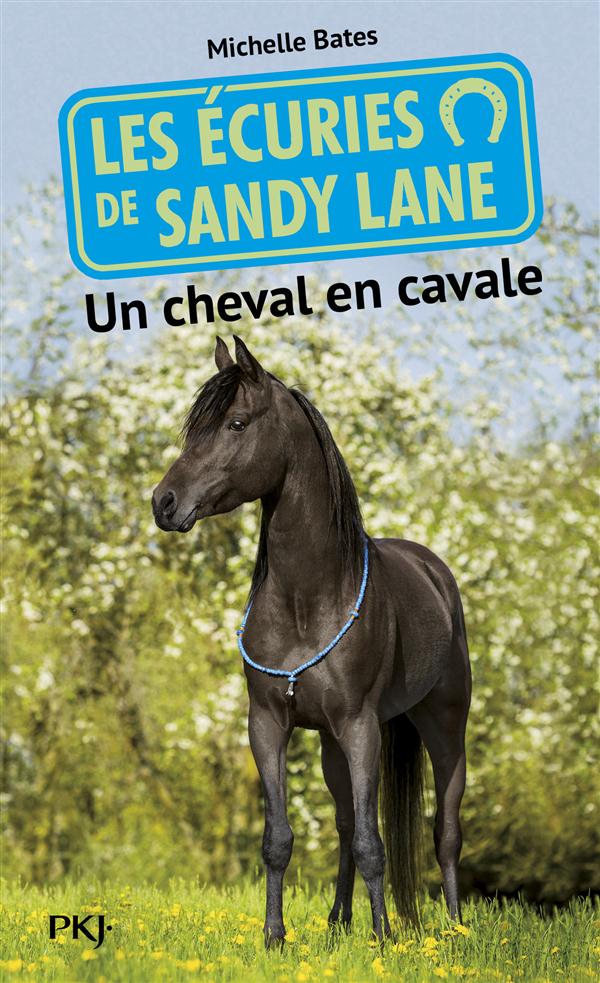 Les écuries de Sandy Lane Tome 7 : Un cheval en cavale