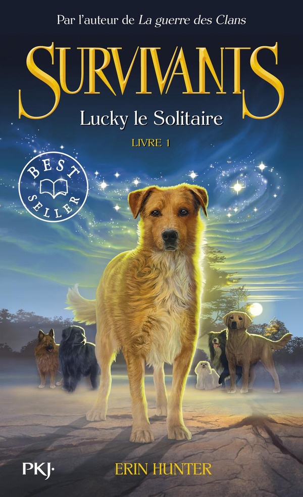 Survivants Tome 1 : Lucky le solitaire
