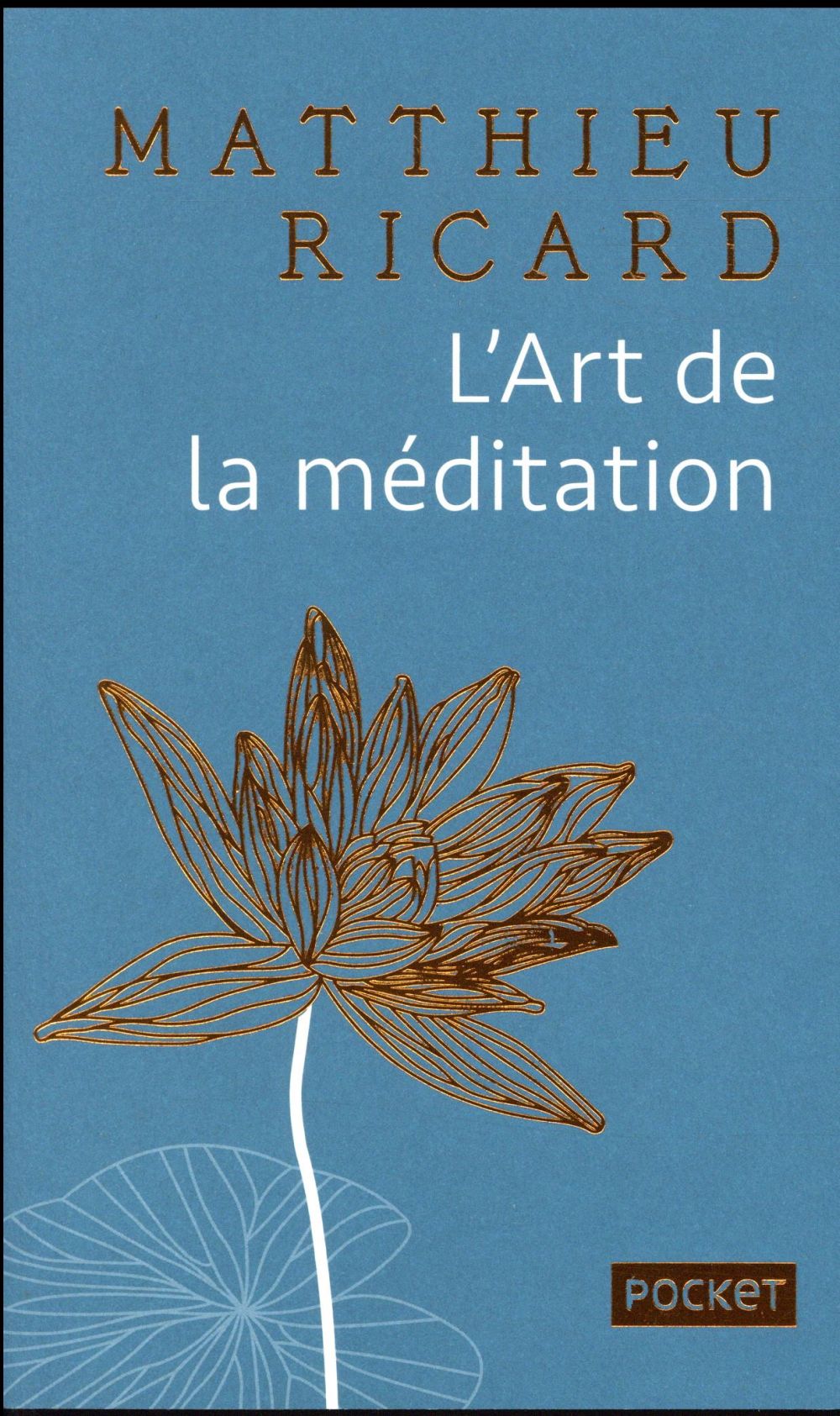 L'art de la méditation. Pourquoi méditer ? Sur quoi ? Comment ? Edition de luxe