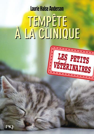 Les Petits Vétérinaires Tome 20 : Tempête à la clinique
