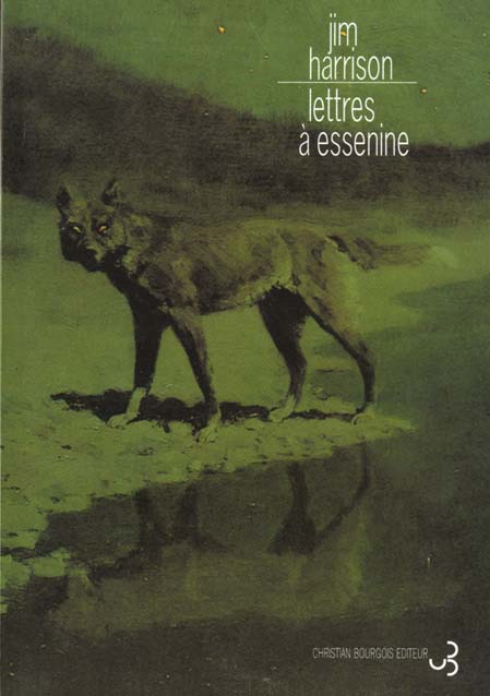 Lettres à Essenine. Edition bilingue français-anglais