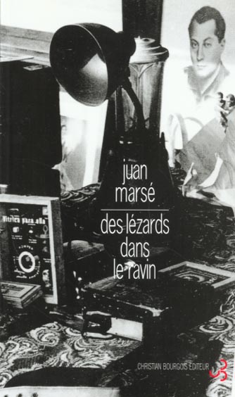 Des lézards dans le ravin