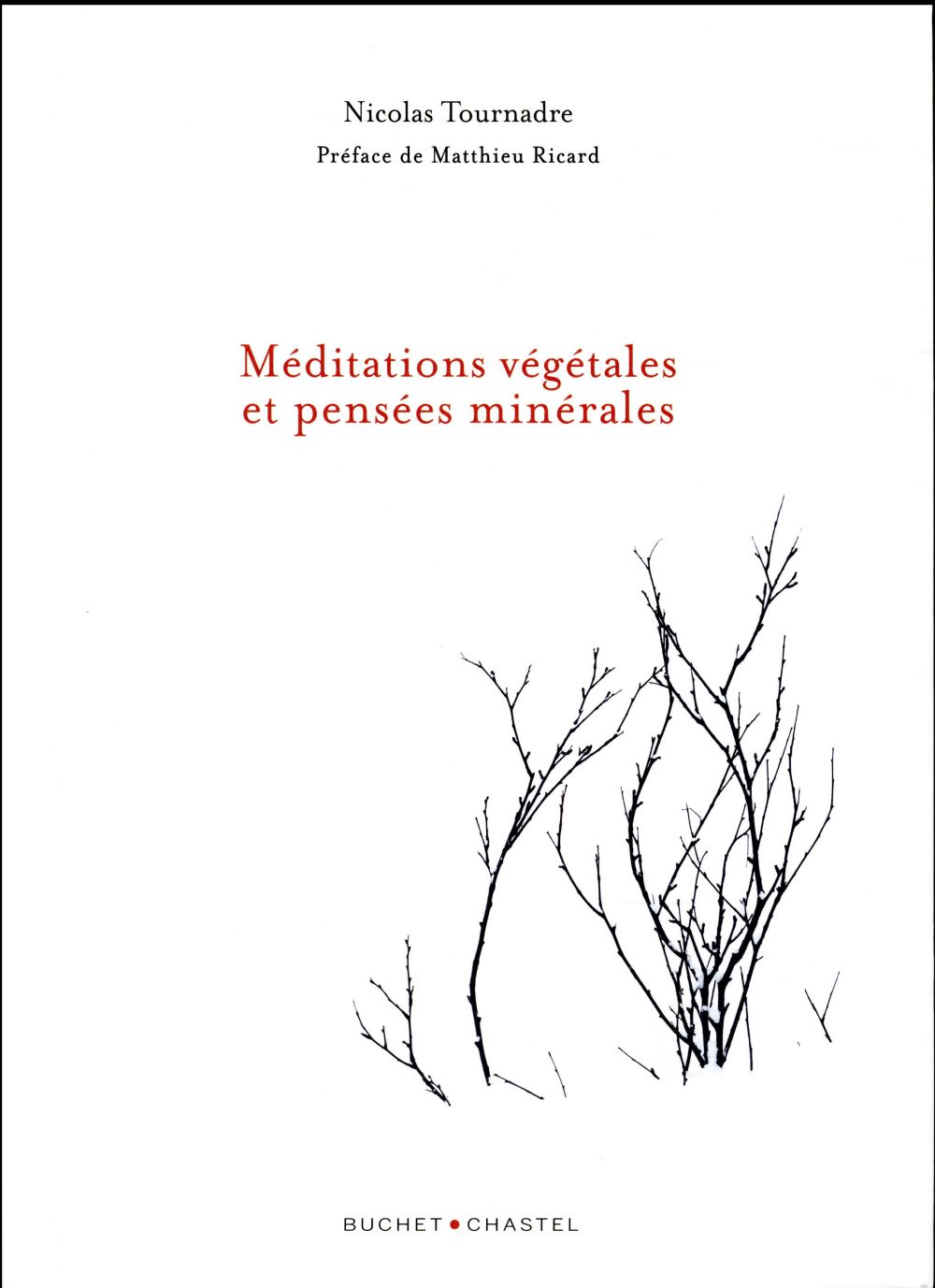 Méditations végétales et pensées minérales