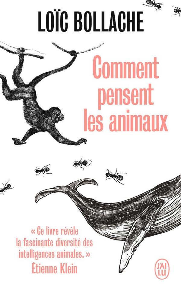 Comment pensent les animaux