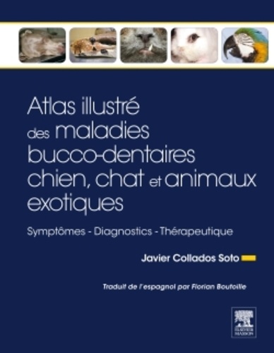 Atlas illustré des maladies bucco-dentaires chien, chat et animaux exotiques. Symptômes, diagnostics