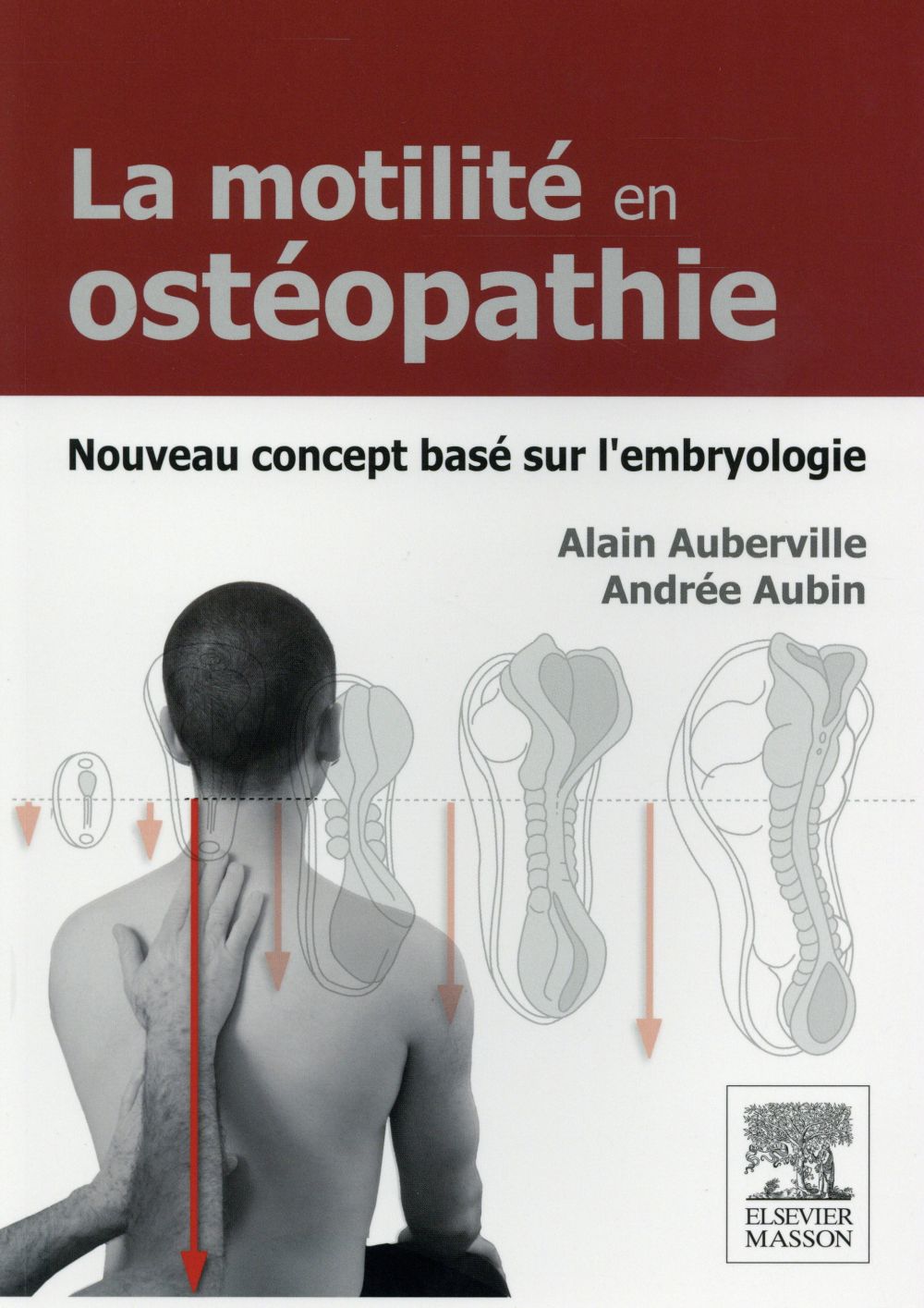 La motilité en ostéopathie. Nouveau concept basé sur l'embryologie