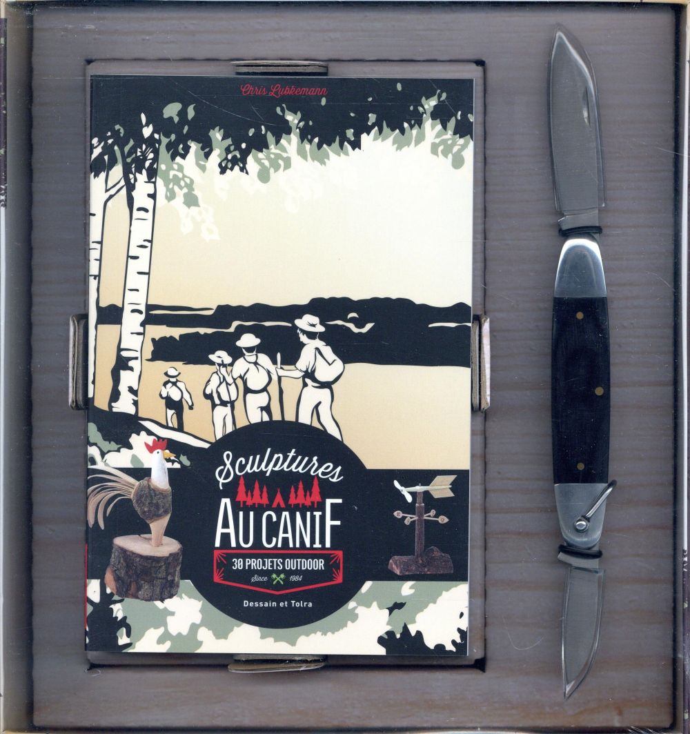 Sculpture au canif. 30 projets outdoor