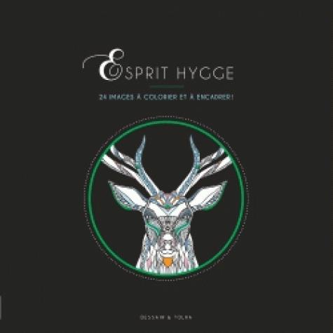 Esprit Hygge. 24 images à colorier et à encadrer !