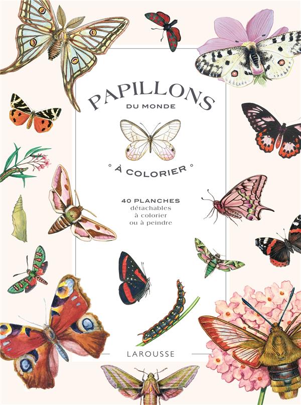 Papillons du monde à colorier. 40 planches détachables à colorier ou à peindre