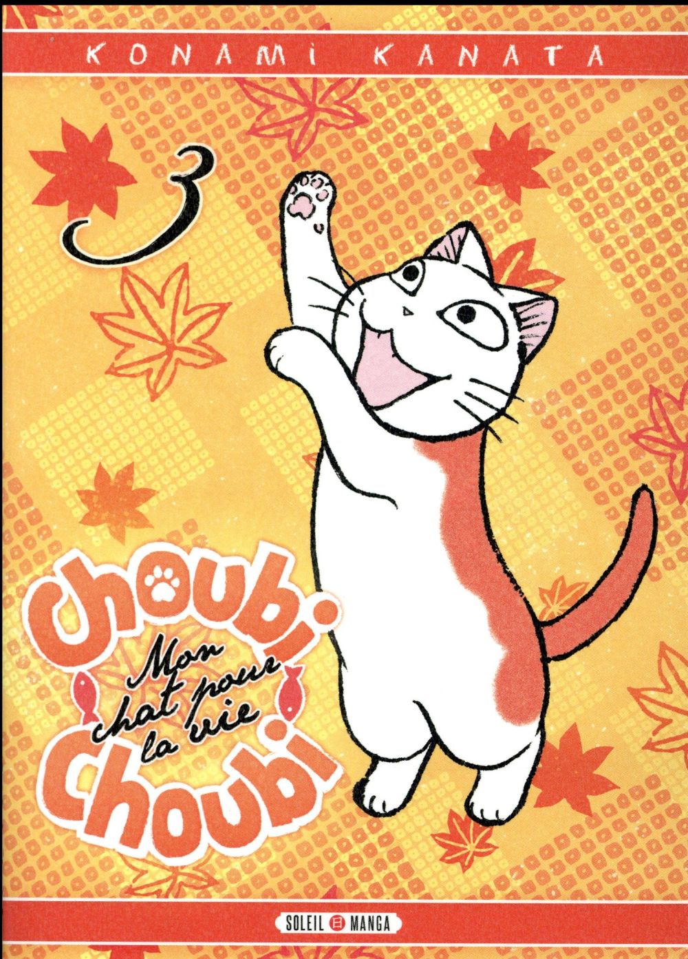 Choubi-Choubi, mon chat pour la vie Tome 3