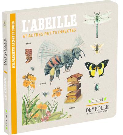 L'abeille et autres petits insectes