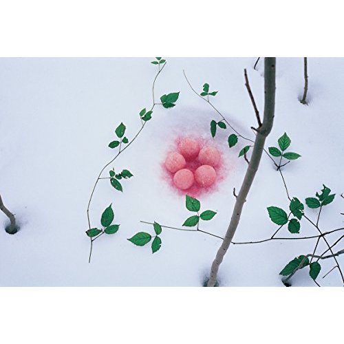 Nils-Udo sur l'eau. Edition bilingue français-anglais