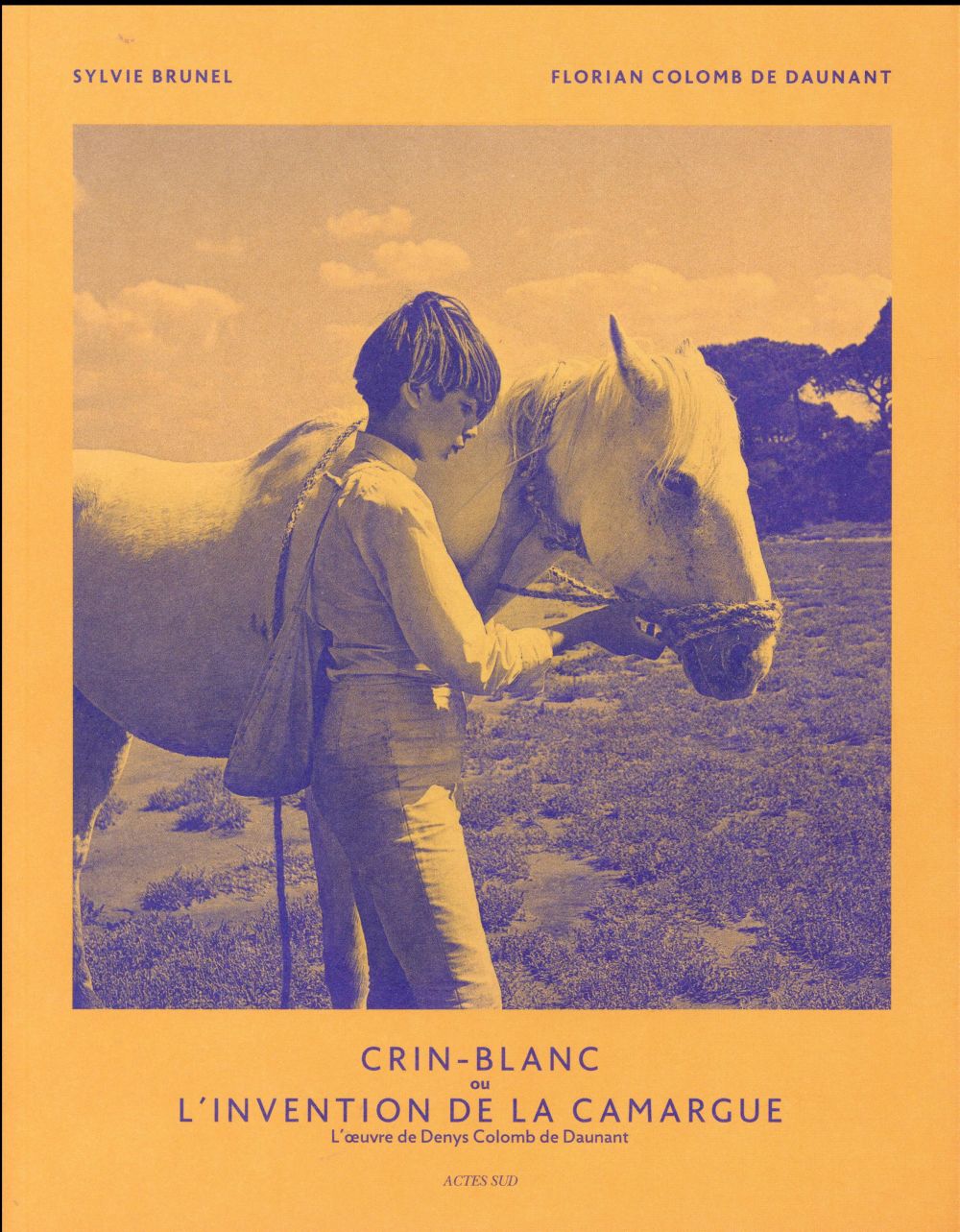 Crin-Blanc ou L'invention de la Camargue. L'oeuvre de Denys Colomb de Daunant