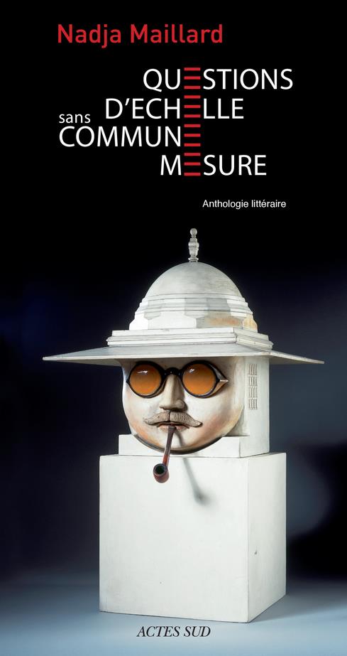 Questions d'échelle. Sans commune mesure