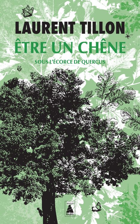 Etre un chêne. Sous l'écorce de Quercus