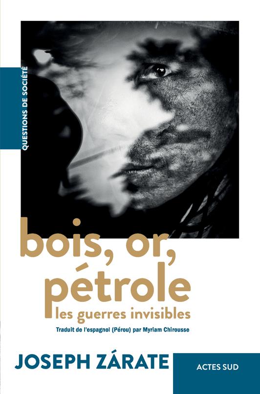 Guerres intérieures. Bois, or, pétrole
