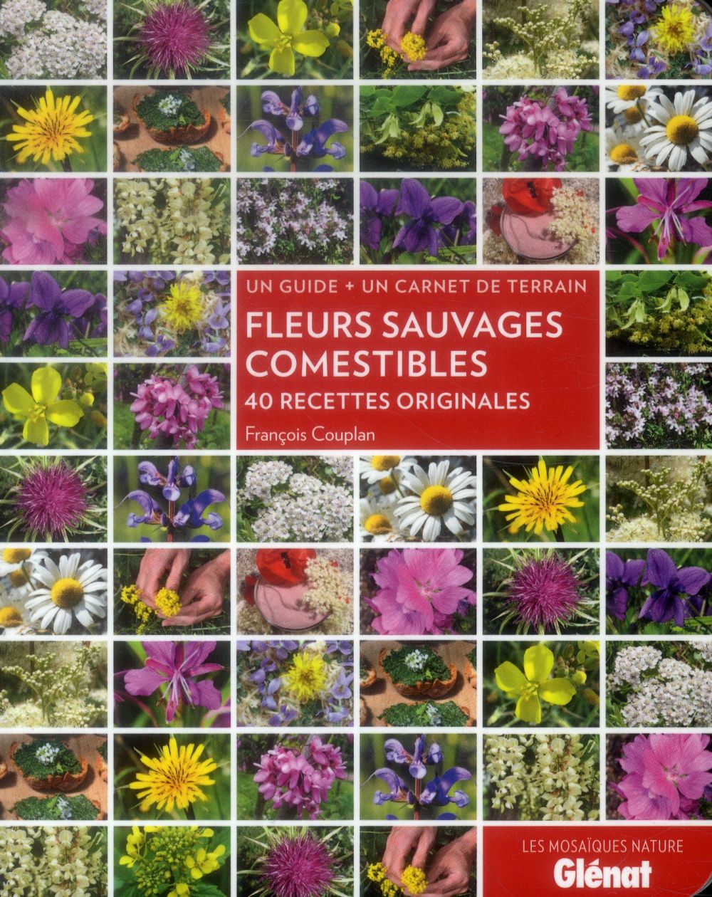 Fleurs sauvages comestibles. 40 recettes originales