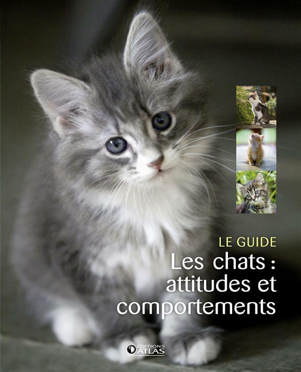 Les chats. Attitudes et comportements