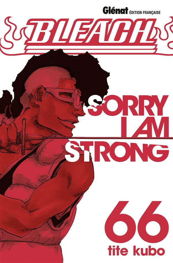 Bleach Tome 66 : Sorry I am strong