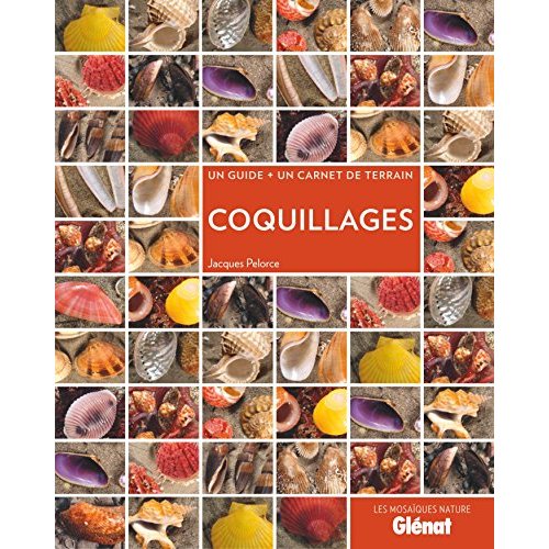 Coquillages. Un guide un carnet de terrain