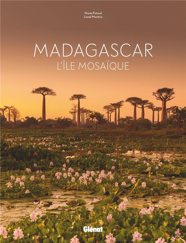 Madagascar. L'île mosaïque