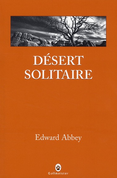 Désert solitaire