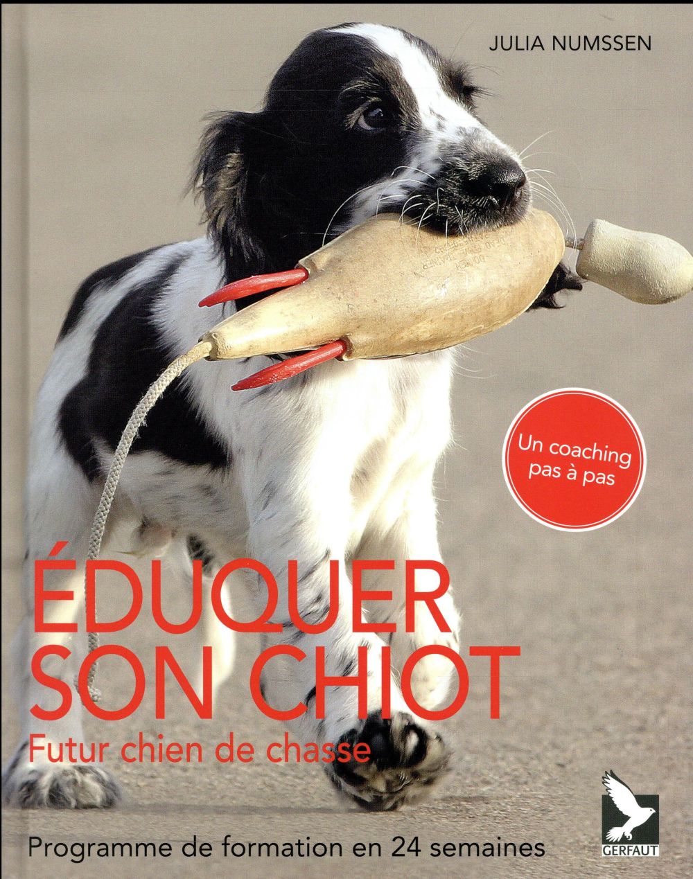 Eduquer son chiot, futur chien de chasse. Programme de formation en 24 semaines