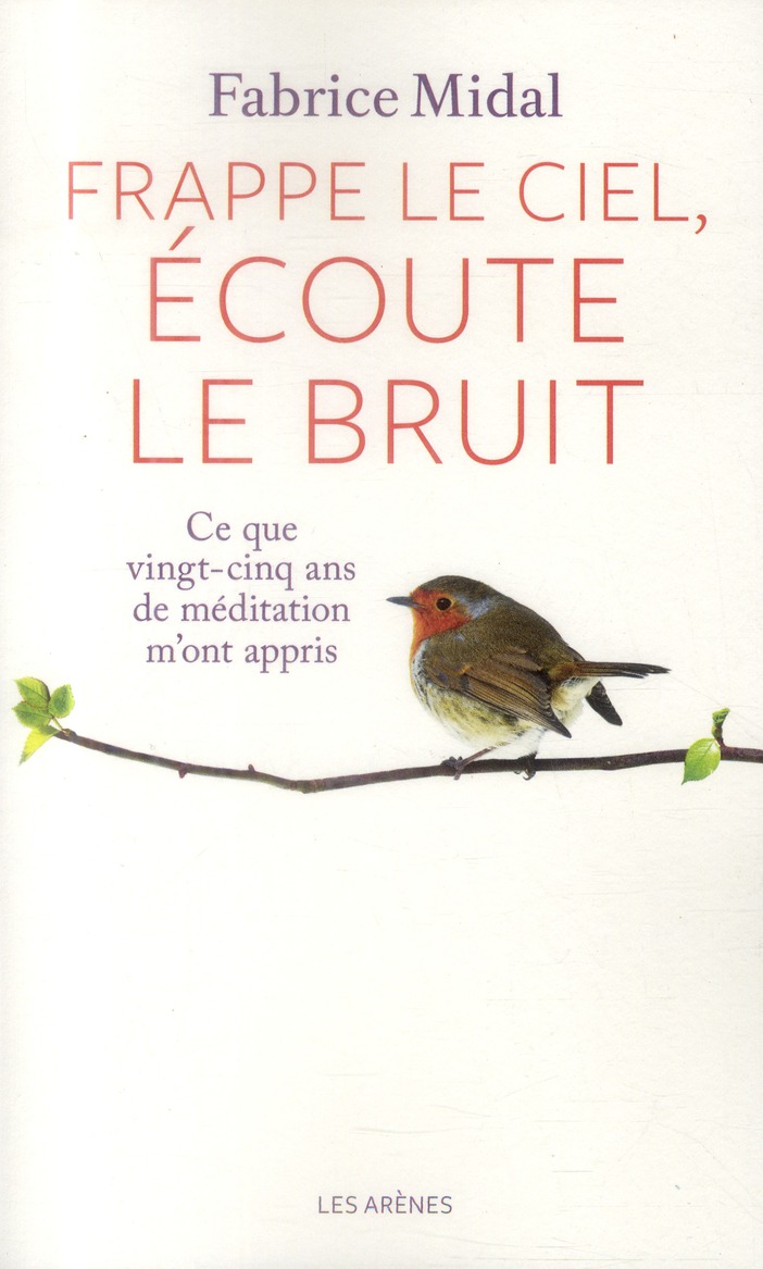 Frappe le ciel, écoute le bruit. Ce que vingt-cinq ans de méditation m'ont appris