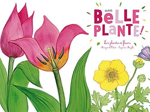 Une belle plante. Les plantes à fleurs