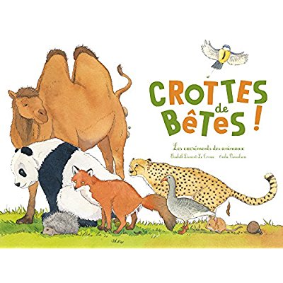 Crottes de bêtes ! Les excréments des animaux