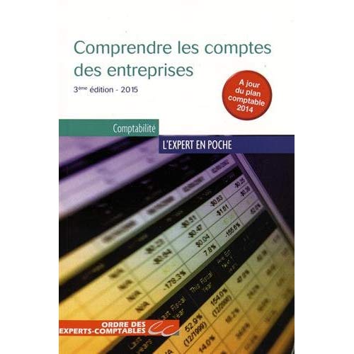 Comprendre les comptes des entreprises. 3e édition