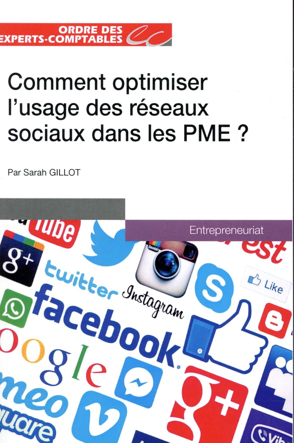 Comment optimiser l'usage des réseaux sociaux dans les PME ?