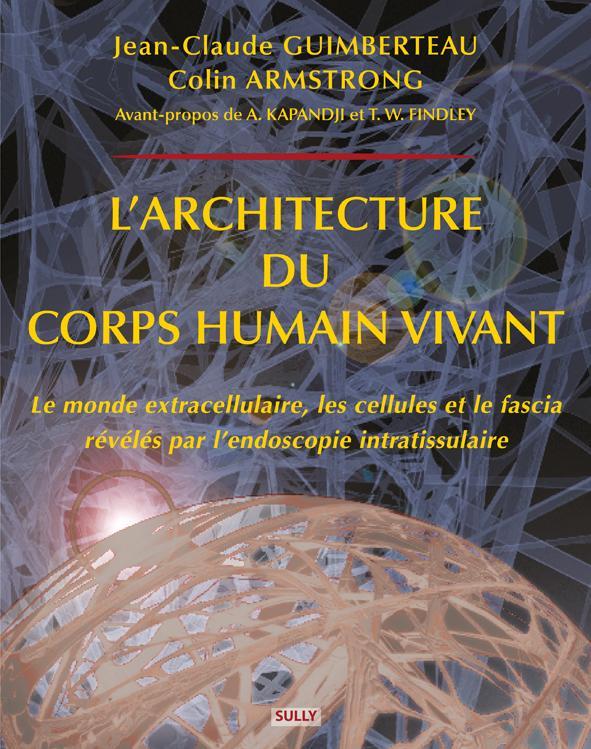 L'architecture du corps humain vivant. Le monde extracellulaire, les cellules et le fascia révélés p